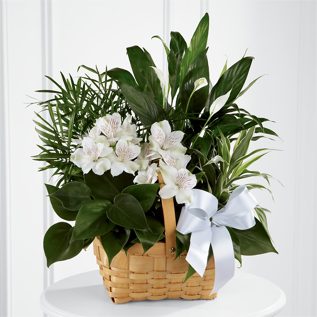 Peace & Serenity Dishgarden – Elite Flowers Of Hemet, Hemet CA