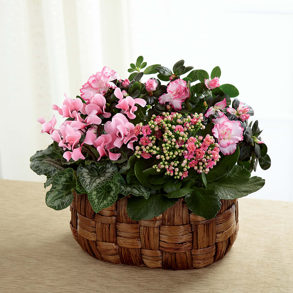 Pink Assortment – Elite Flowers Of Hemet, Hemet CA