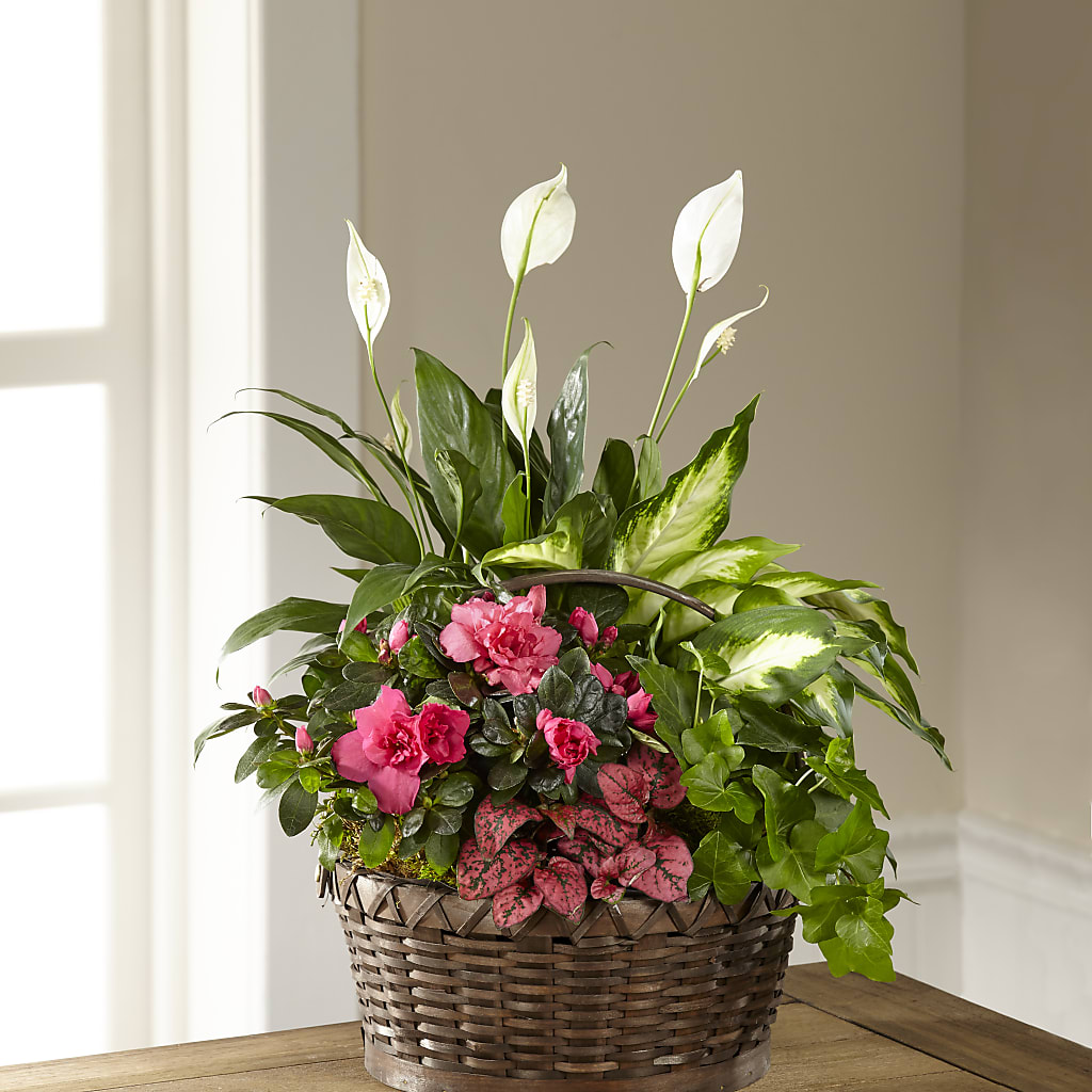 Dream in Pink Dishgarden – Elite Flowers Of Hemet, Hemet CA