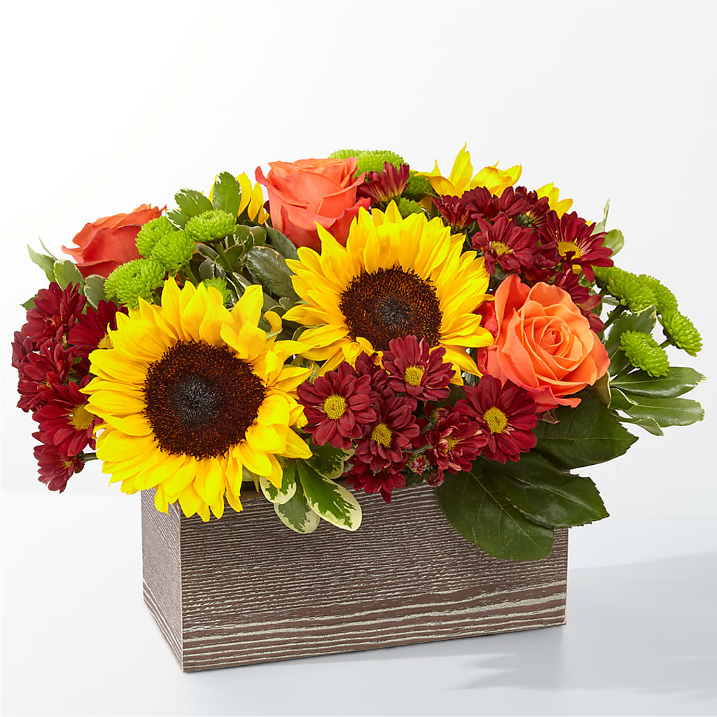 Happy Harvest Garden – Elite Flowers Of Hemet, Hemet CA