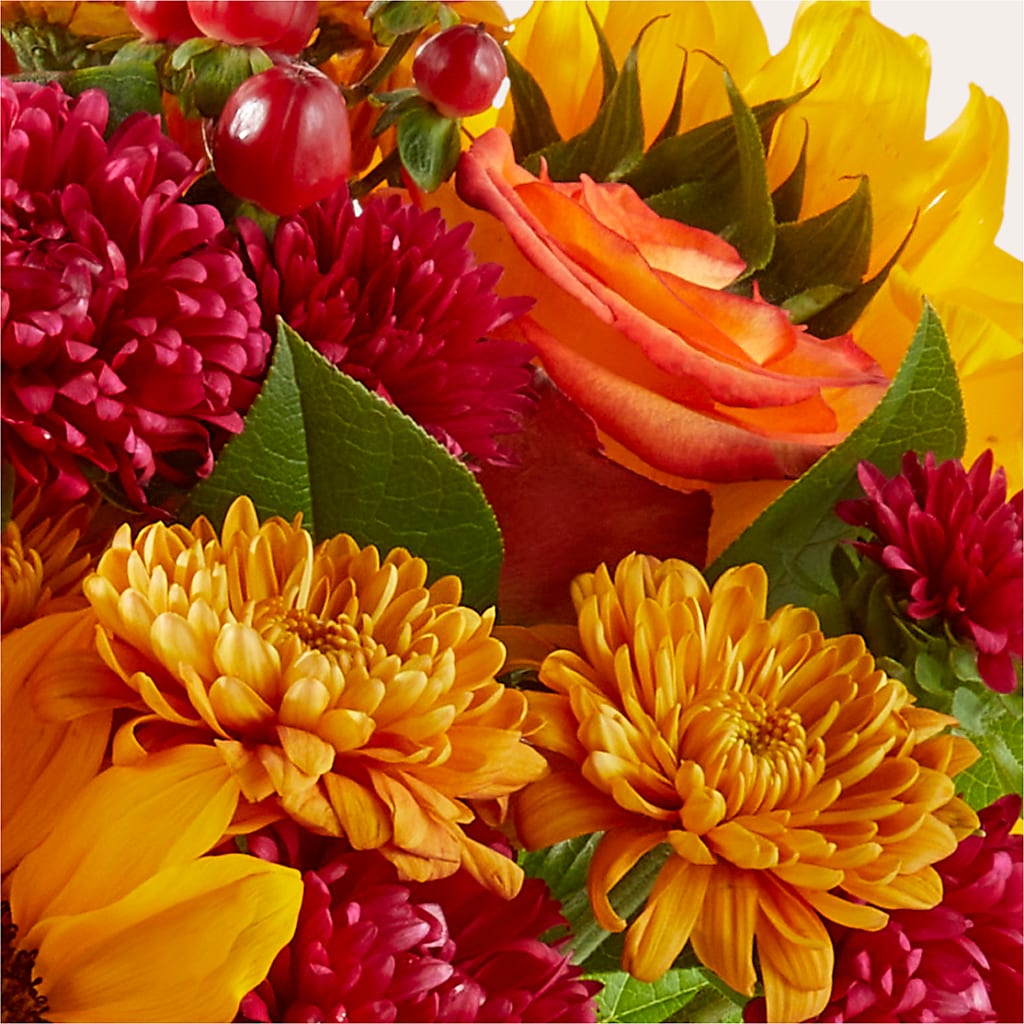 Sweater Season - A Florist Original – Elite Flowers Of Hemet, Hemet CA