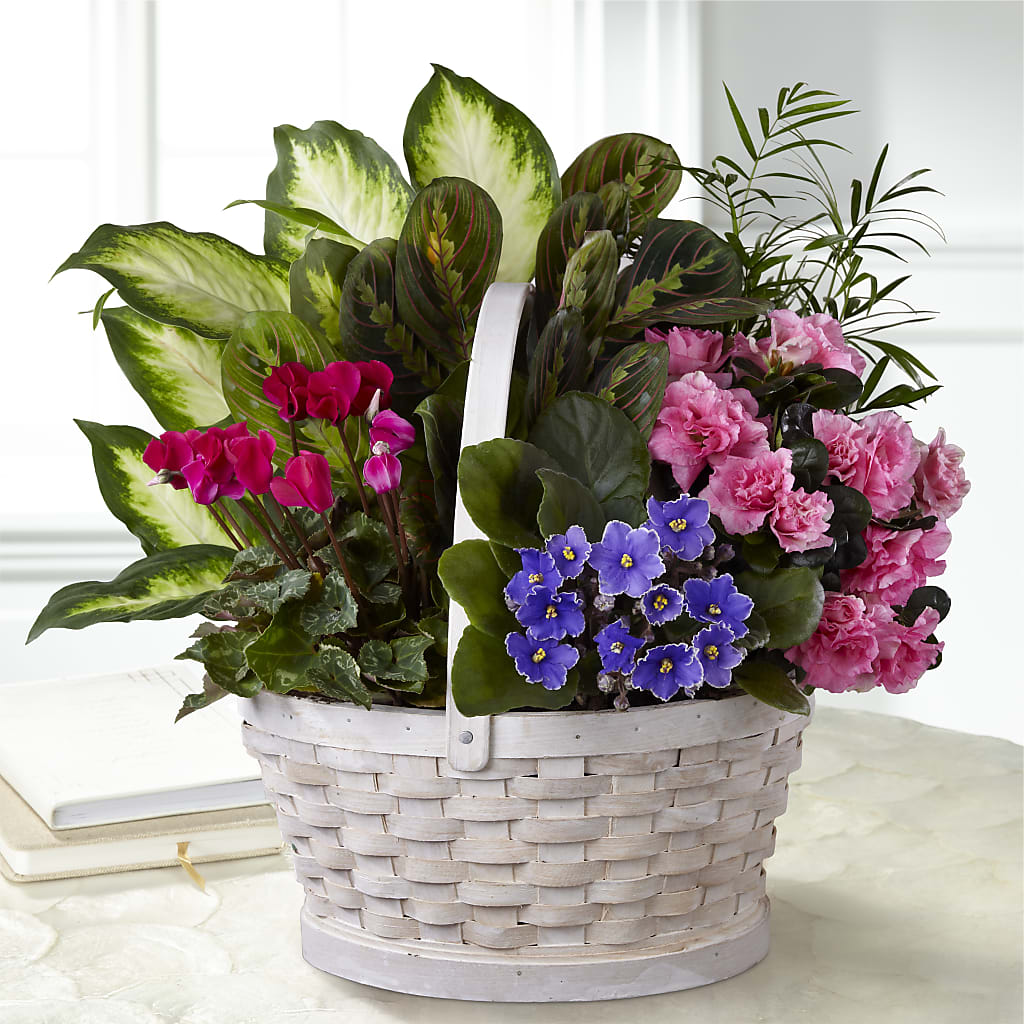 Peaceful Garden Planter – Elite Flowers Of Hemet, Hemet CA