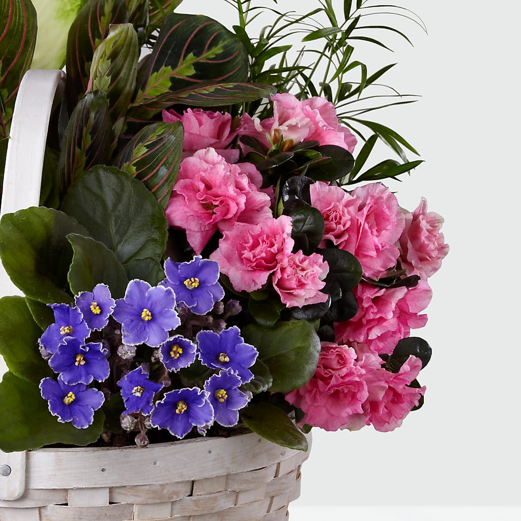 Peaceful Garden Planter – Elite Flowers Of Hemet, Hemet CA