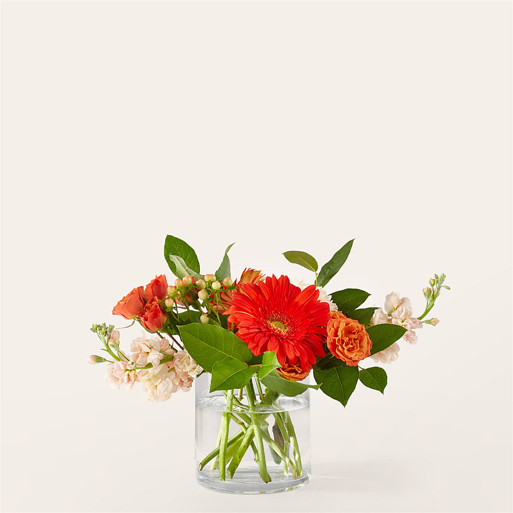 Paloma Please Bouquet – Elite Flowers Of Hemet, Hemet CA