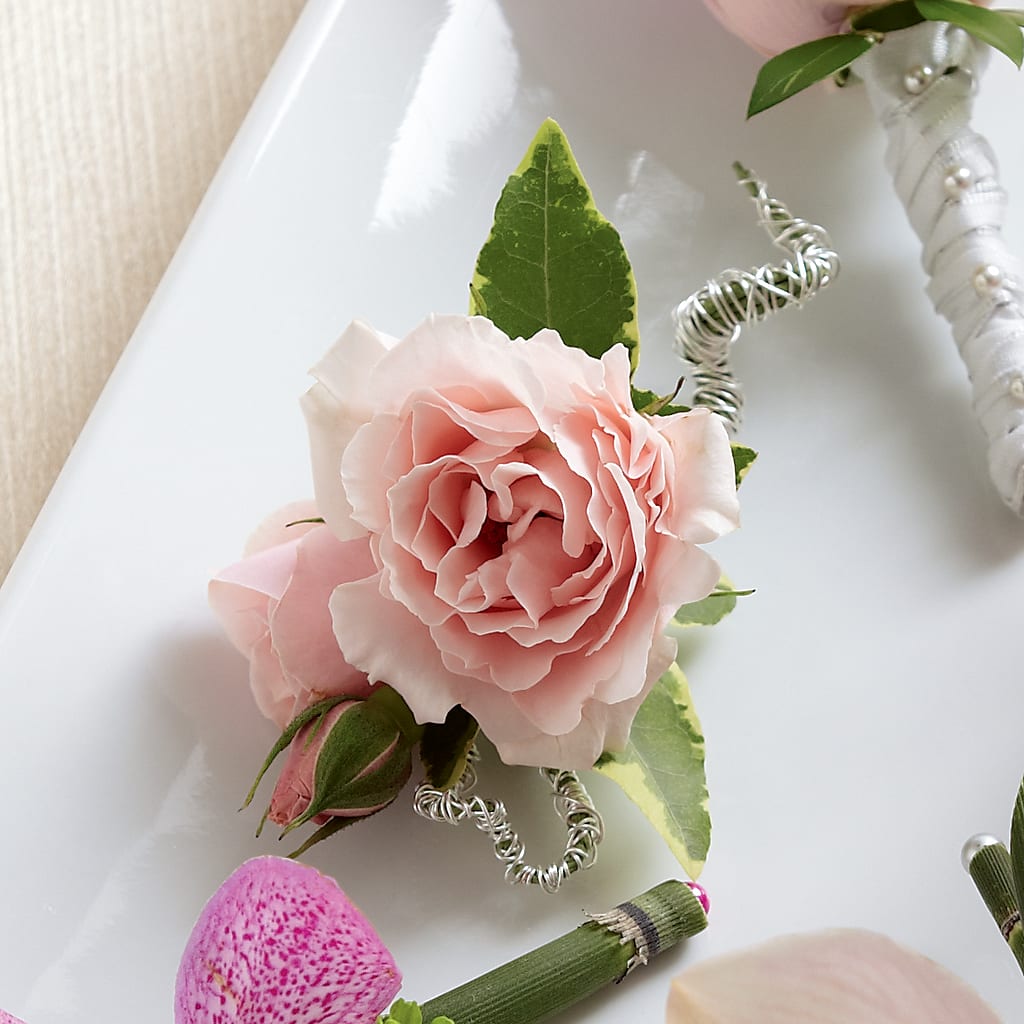 Pink Spray Rose Boutonniere – Elite Flowers Of Hemet, Hemet CA