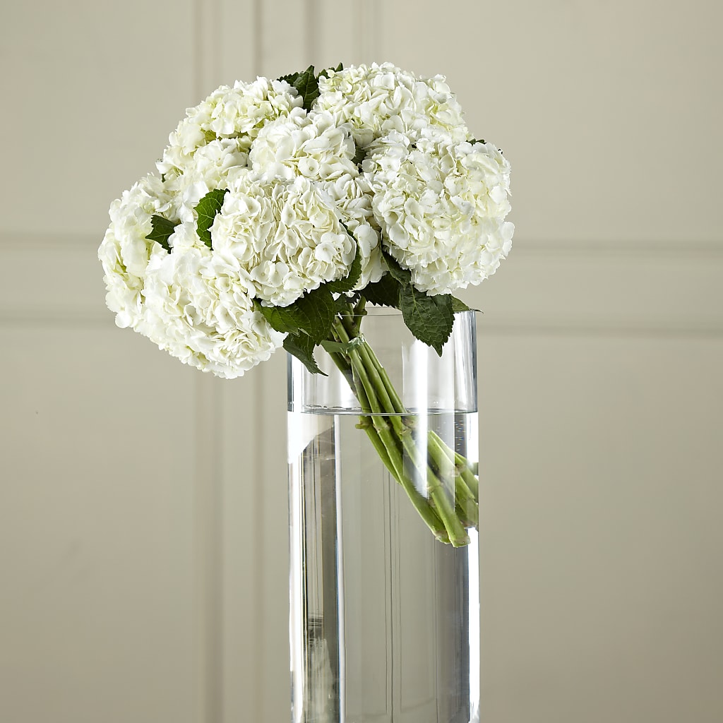 White Hydrangea Hand-Tied Bouquet – Elite Flowers Of Hemet, Hemet CA