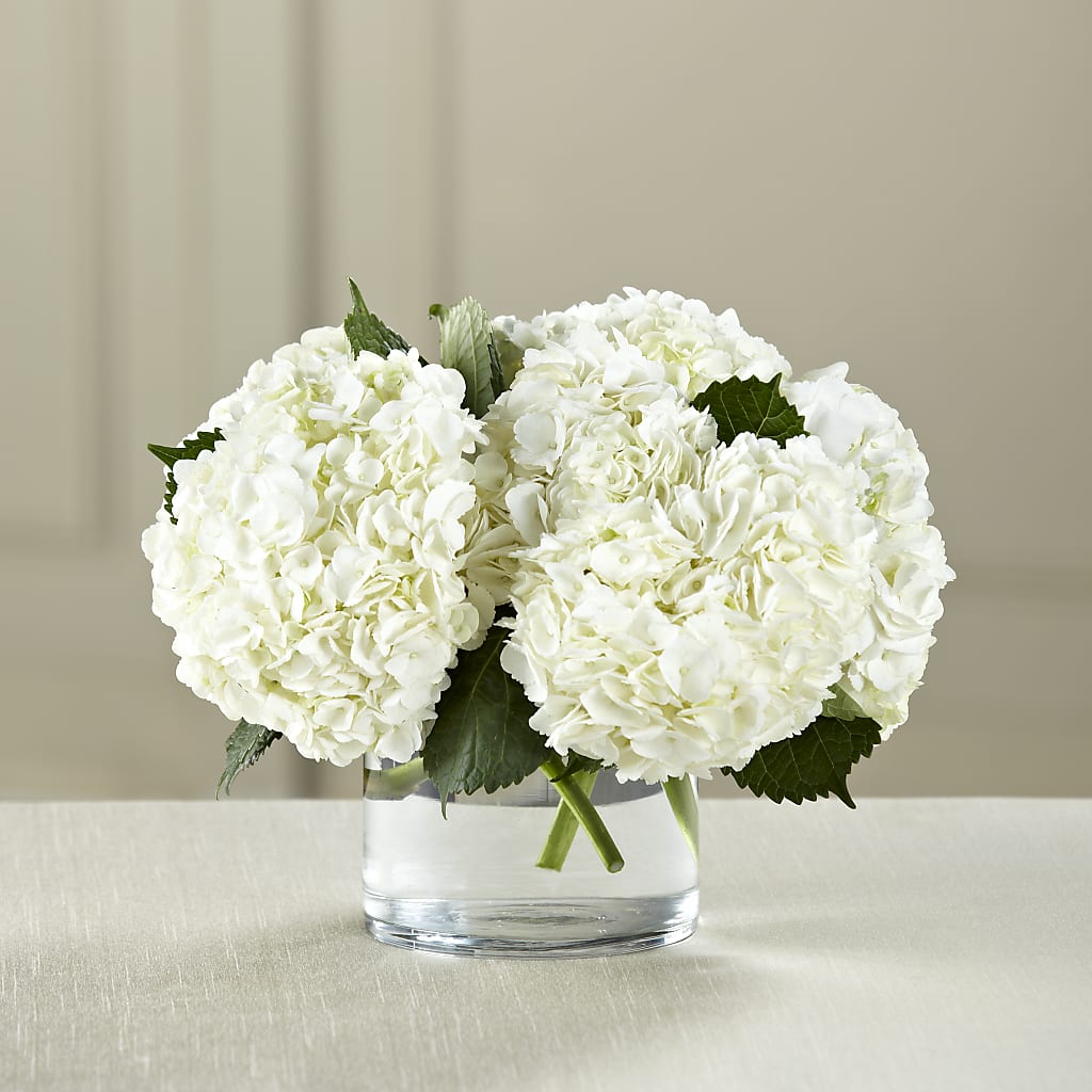 White Hydrangea Bouquet – Elite Flowers Of Hemet, Hemet CA