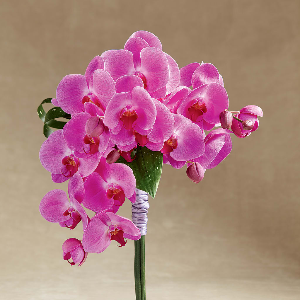 Glorious Bouquet – Elite Flowers Of Hemet, Hemet CA