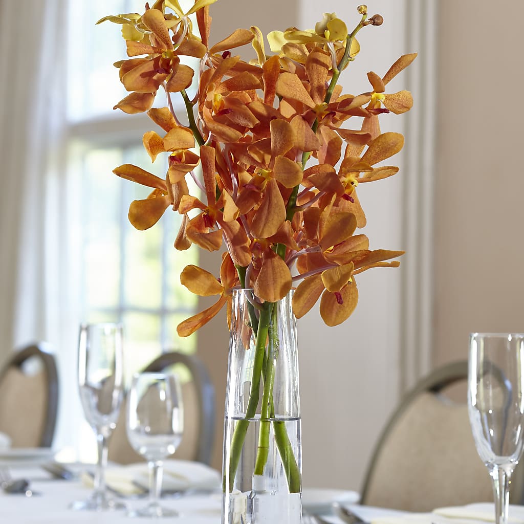 Orange Mokara Bud Vase – Elite Flowers Of Hemet, Hemet CA