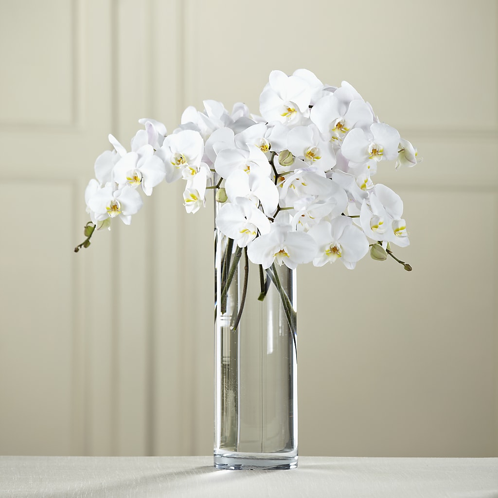 White Phalaenopsis Bouquet – Elite Flowers Of Hemet, Hemet CA