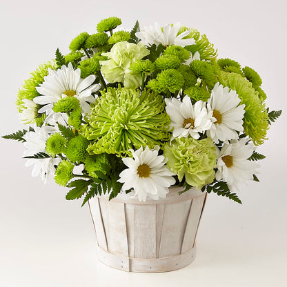 Lucky Charm Basket (Standard) –  Elite Flowers Of Hemet, Hemet CA