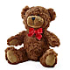 Adorable Plush Bear –  Elite Flowers Of Hemet, Hemet CA