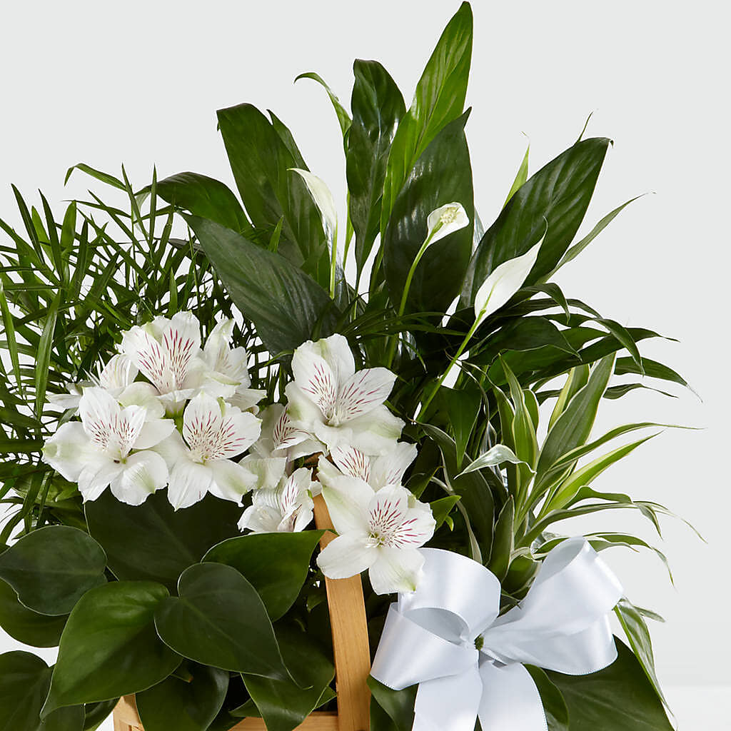 Peace & Serenity Dishgarden –  Elite Flowers Of Hemet, Hemet CA