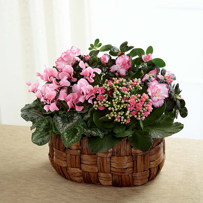 Pink Assortment –  Elite Flowers Of Hemet, Hemet CA