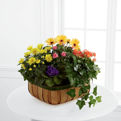 Gentle Blossoms Basket –  Elite Flowers Of Hemet, Hemet CA