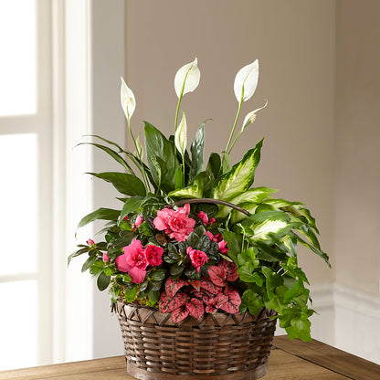 Dream in Pink Dishgarden –  Elite Flowers Of Hemet, Hemet CA