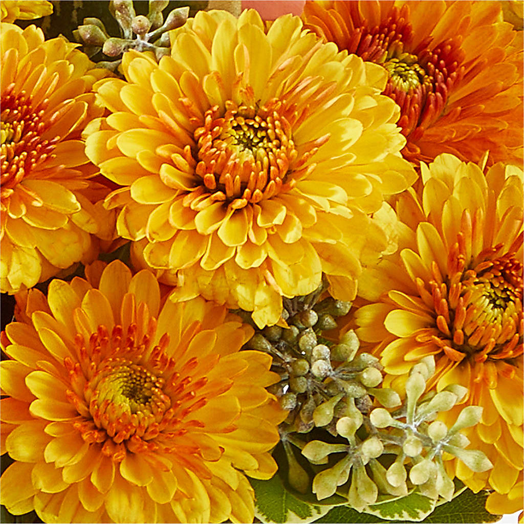 Peachy Pumpkin –  Elite Flowers Of Hemet, Hemet CA