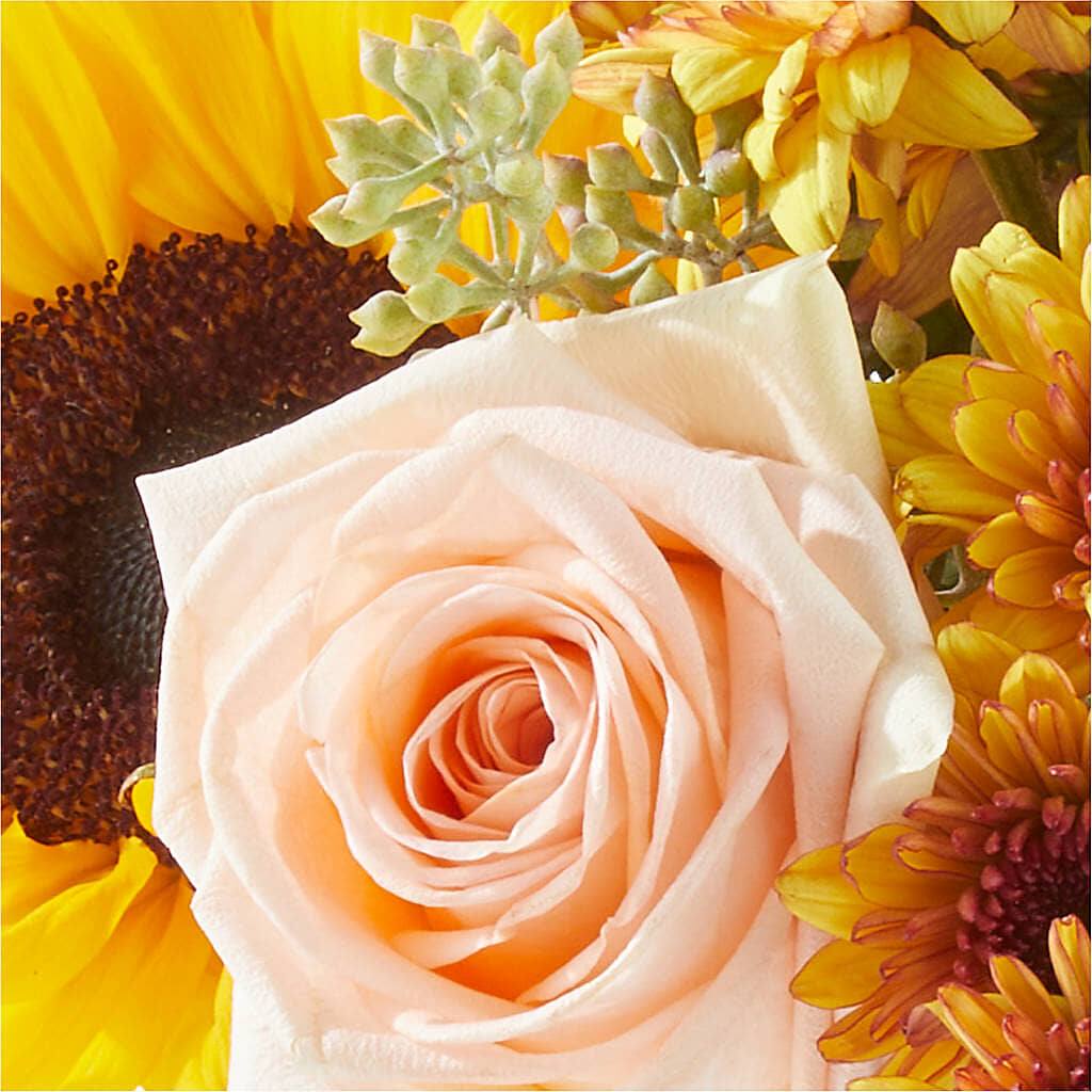 Pumpkin to Talk About Bouquet –  Elite Flowers Of Hemet, Hemet CA