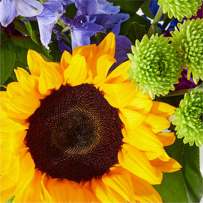Catching Rays Bouquet –  Elite Flowers Of Hemet, Hemet CA
