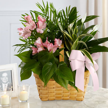 Living Spirit Dishgarden –  Elite Flowers Of Hemet, Hemet CA