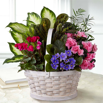 Peaceful Garden Planter –  Elite Flowers Of Hemet, Hemet CA
