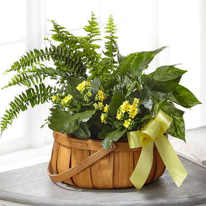 Always Dear Dishgarden –  Elite Flowers Of Hemet, Hemet CA