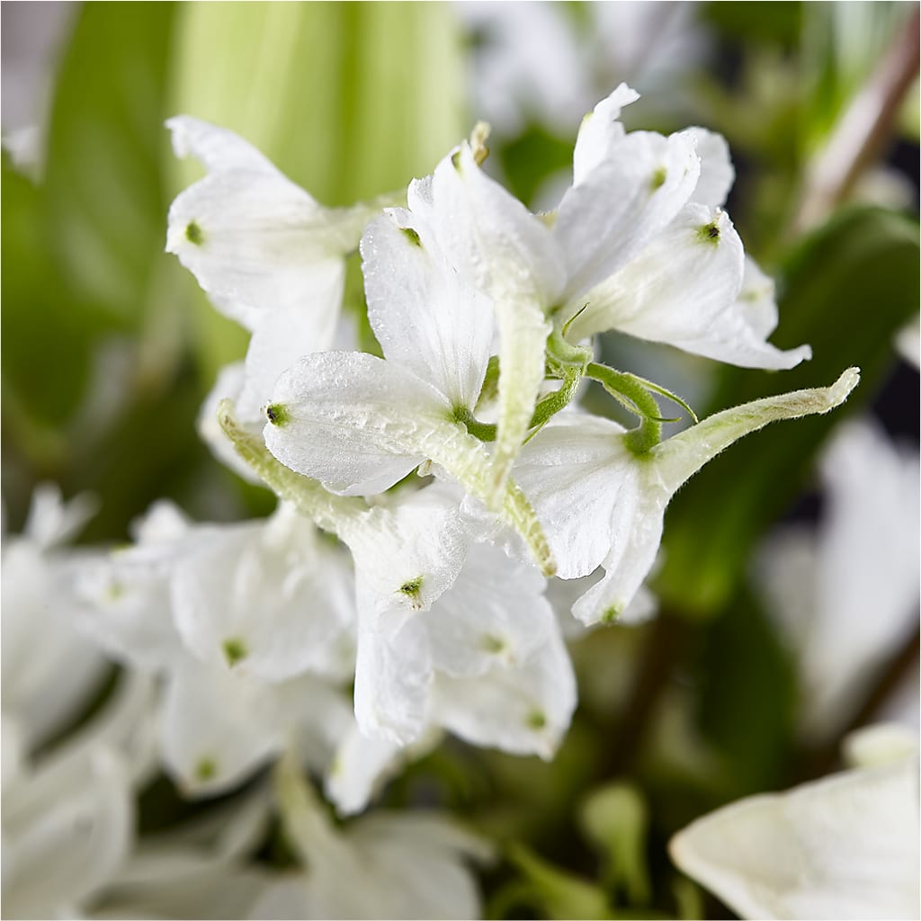 Classic Ivory – A Florist Original –  Elite Flowers Of Hemet, Hemet CA