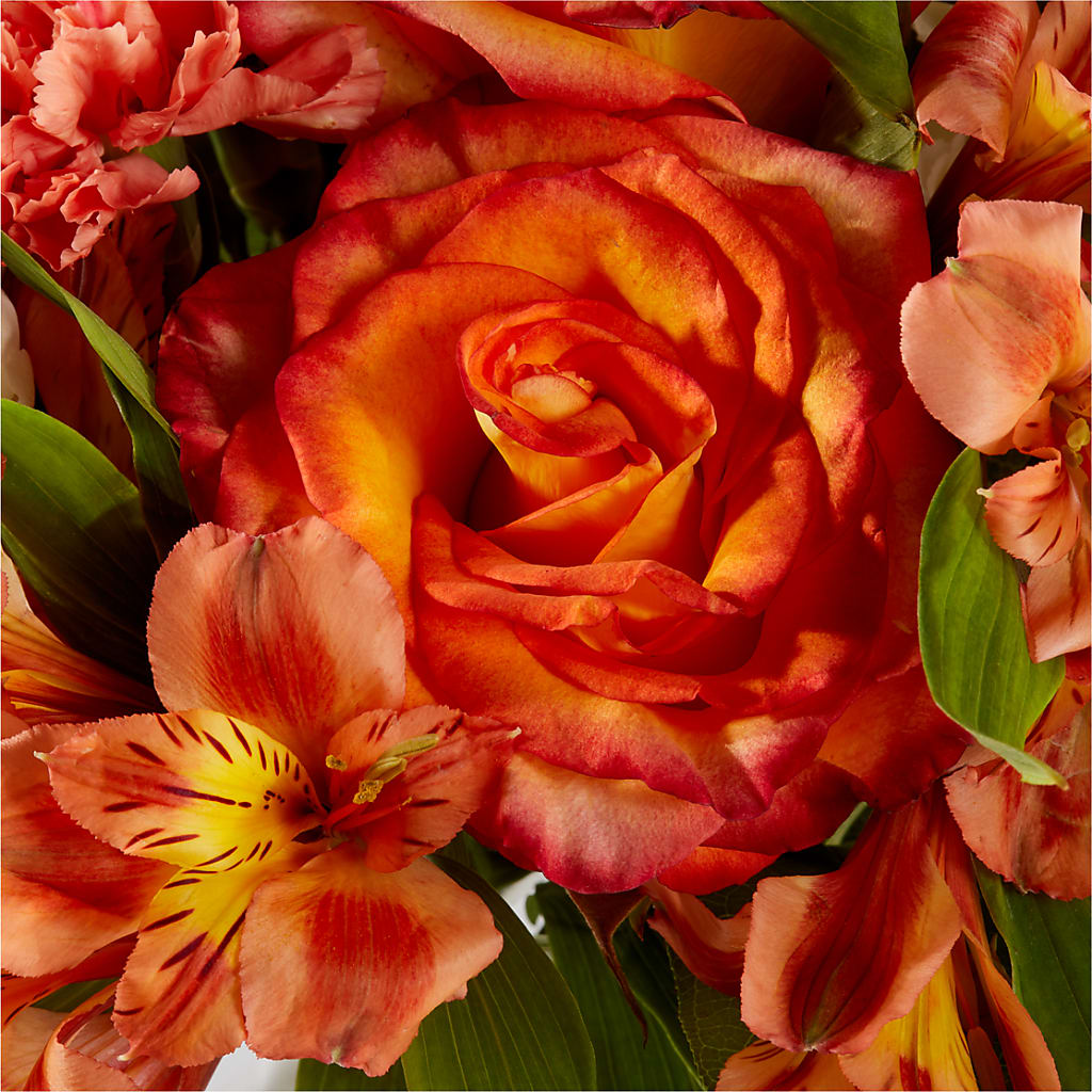 Apricot Glow Bouquet –  Elite Flowers Of Hemet, Hemet CA