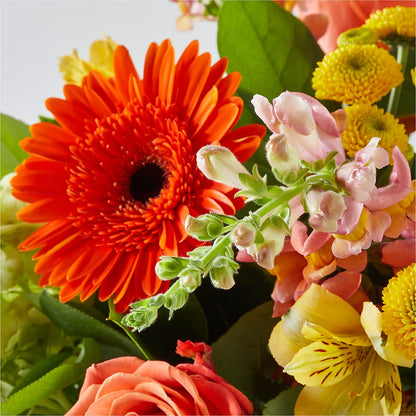 Autumn Sunshine Bouquet –  Elite Flowers Of Hemet, Hemet CA