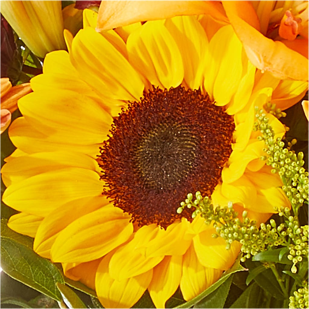 Seasons Change Bouquet –  Elite Flowers Of Hemet, Hemet CA