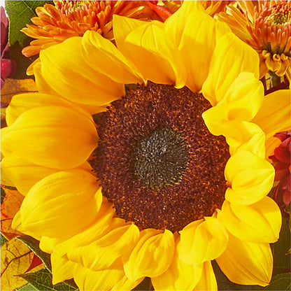 Sunny Side Bouquet –  Elite Flowers Of Hemet, Hemet CA