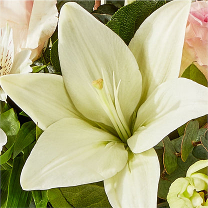 Ballet Slippers Bouquet –  Elite Flowers Of Hemet, Hemet CA