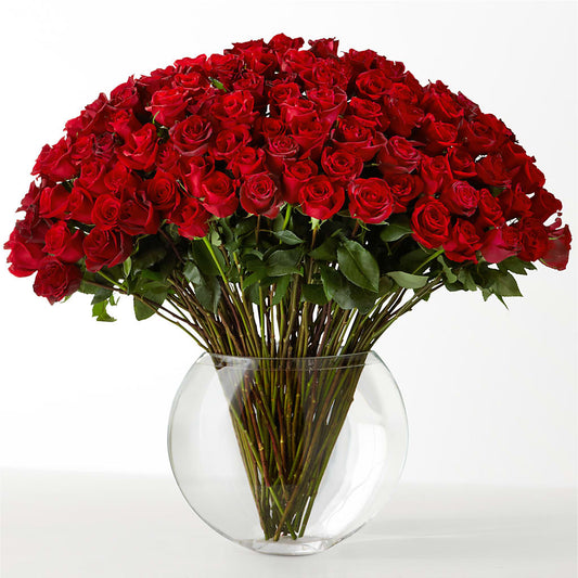 The Idealist –  Elite Flowers Of Hemet, Hemet CA