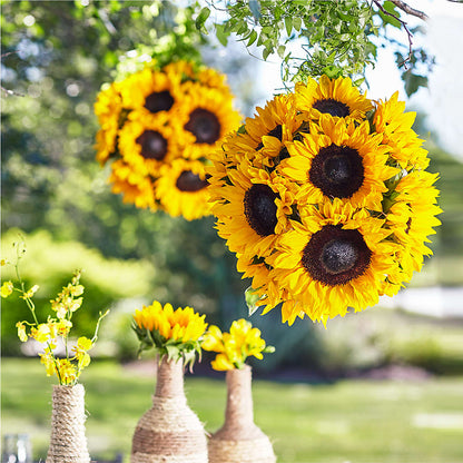 Sublime Garden Hanging Arrangement –  Elite Flowers Of Hemet, Hemet CA