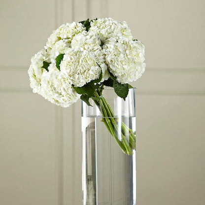 White Hydrangea Hand-Tied Bouquet –  Elite Flowers Of Hemet, Hemet CA