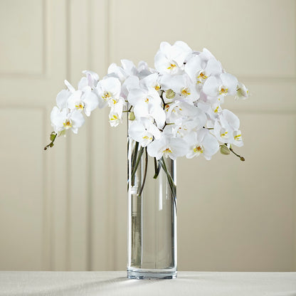 White Phalaenopsis Bouquet –  Elite Flowers Of Hemet, Hemet CA